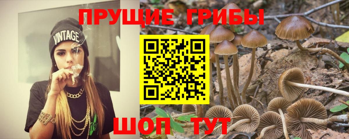 Галлюциногенные грибы MAGIC MUSHROOMS Великий Устюг