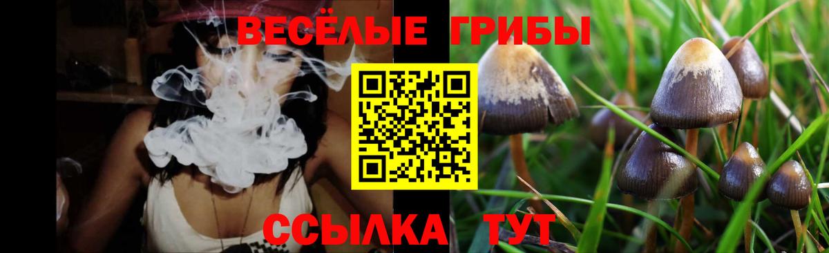 Великий Устюг  как найти закладки  Вход с VPN  Псилоцибиновые грибы мухоморы 