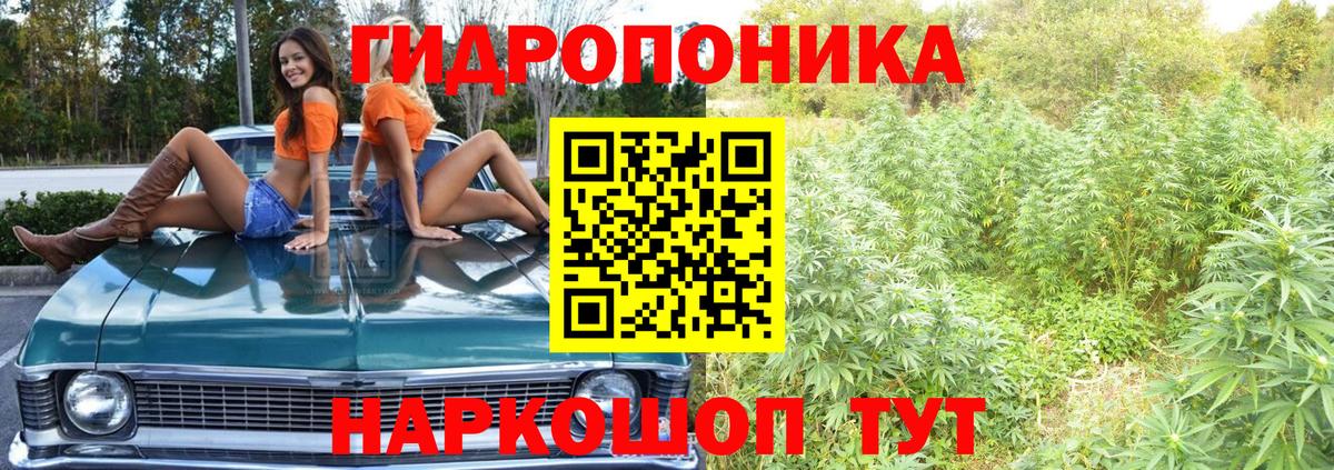 Канабис MAZAR Великий Устюг